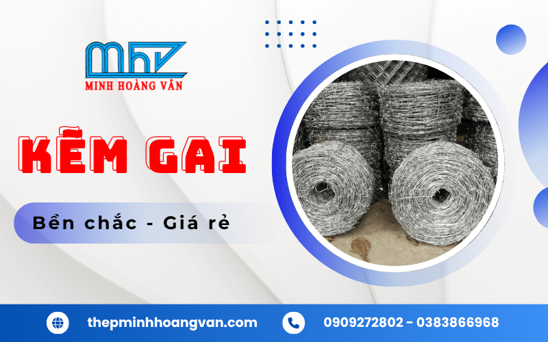 kẽm gai